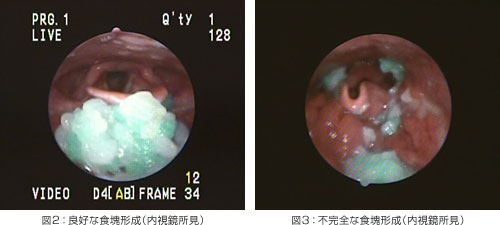 �}2�F�ǍD�ȐH��`���i�����������j�^�}3�F�s���S�ȐH��`���i�����������j