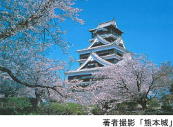 ���ҎB�e�u�F�{��v